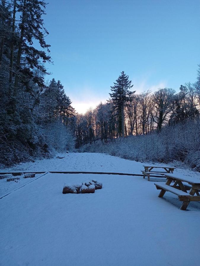 The West Wing At Eriviat Hall Hot Tub Henllan  Екстер'єр фото